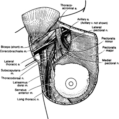 A978-0-387-09515-8_3_Fig2_HTML.jpg