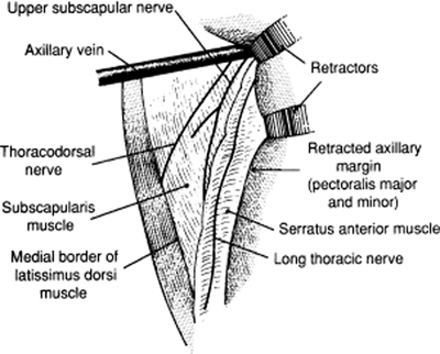 A978-0-387-09515-8_3_Fig6_HTML.jpg