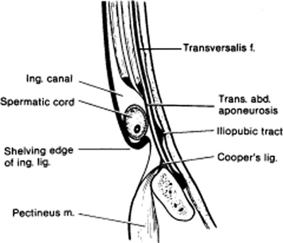 A978-0-387-09515-8_4_Fig15_HTML.jpg