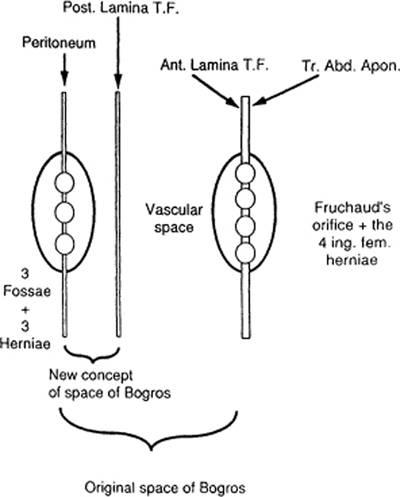 A978-0-387-09515-8_4_Fig21_HTML.jpg