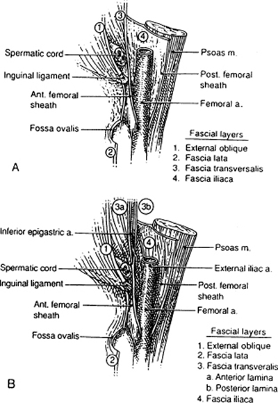 A978-0-387-09515-8_4_Fig24_HTML.jpg