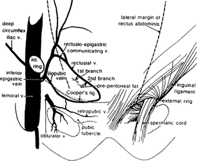 A978-0-387-09515-8_4_Fig25_HTML.jpg