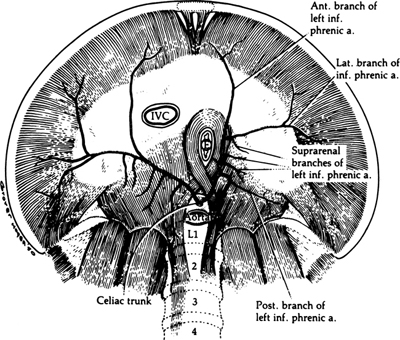 A978-0-387-09515-8_5_Fig11_HTML.jpg