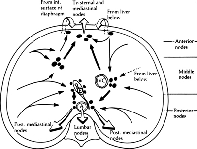 A978-0-387-09515-8_5_Fig13_HTML.jpg