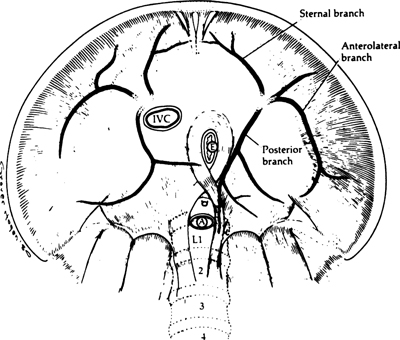 A978-0-387-09515-8_5_Fig14_HTML.jpg