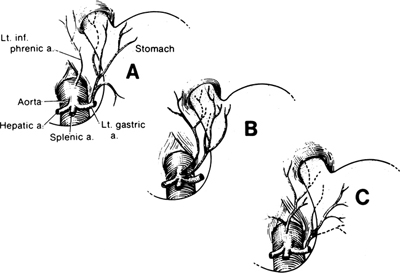 A978-0-387-09515-8_5_Fig15_HTML.jpg