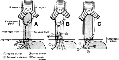 A978-0-387-09515-8_5_Fig16_HTML.jpg