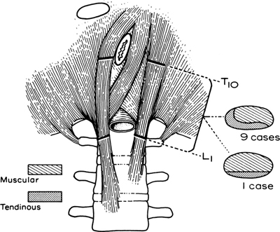 A978-0-387-09515-8_5_Fig1_HTML.jpg