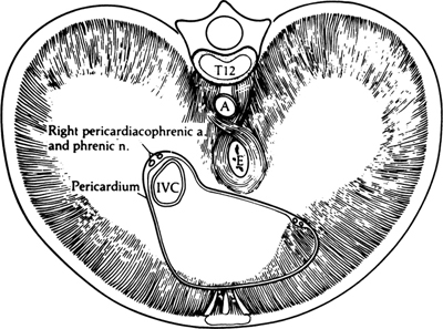 A978-0-387-09515-8_5_Fig3_HTML.jpg