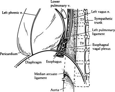 A978-0-387-09515-8_5_Fig9_HTML.jpg