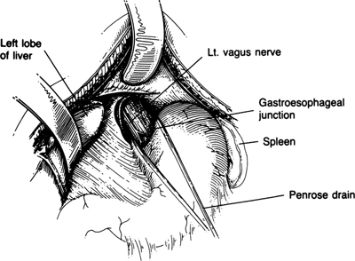 A978-0-387-09515-8_6_Fig16_HTML.jpg