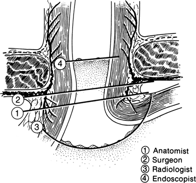 A978-0-387-09515-8_6_Fig5_HTML.jpg