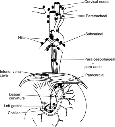 A978-0-387-09515-8_6_Fig9_HTML.jpg