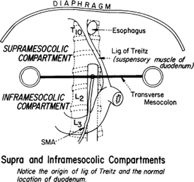 A978-0-387-09515-8_8_Fig12_HTML.jpg