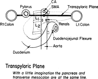 A978-0-387-09515-8_8_Fig13_HTML.jpg