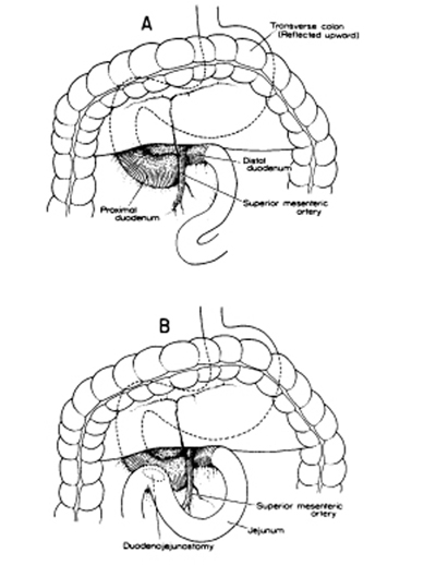 A978-0-387-09515-8_8_Fig16_HTML.jpg