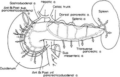 A978-0-387-09515-8_8_Fig4_HTML.jpg