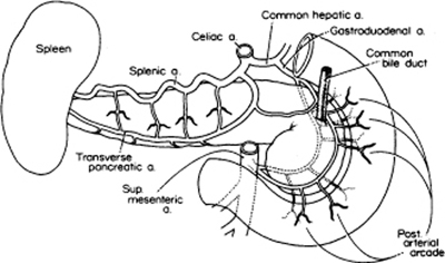 A978-0-387-09515-8_8_Fig5_HTML.jpg