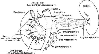 A978-0-387-09515-8_8_Fig6_HTML.jpg