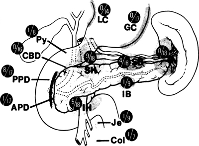 A978-0-387-09515-8_9_Fig10_HTML.jpg