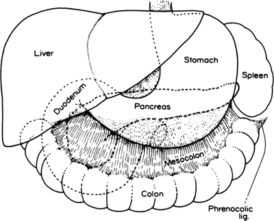 A978-0-387-09515-8_9_Fig1_HTML.jpg