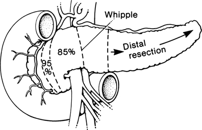 A978-0-387-09515-8_9_Fig20_HTML.jpg