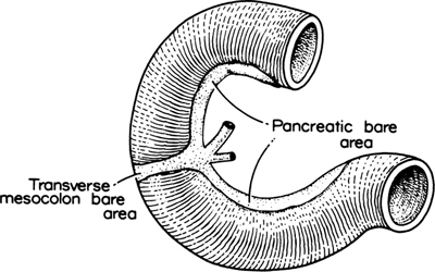 A978-0-387-09515-8_9_Fig2_HTML.jpg