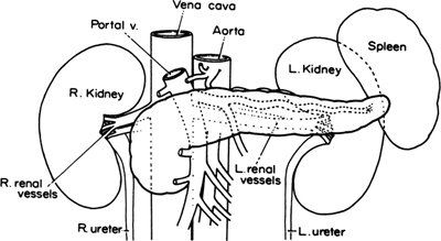 A978-0-387-09515-8_9_Fig3_HTML.jpg