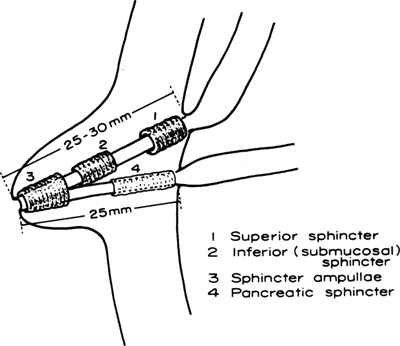 A978-0-387-09515-8_9_Fig7_HTML.jpg