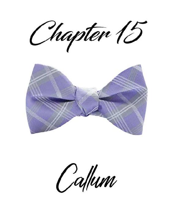 Chapter 15 Callum’s lavender plaid bow tie