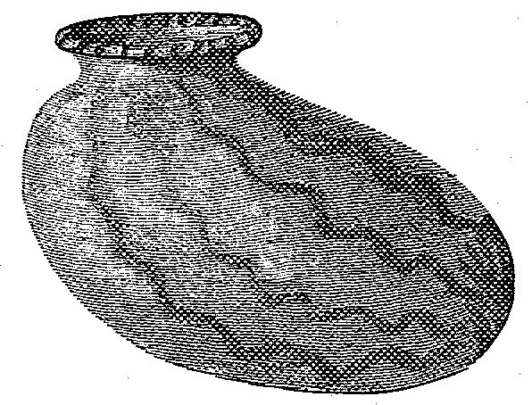 Fig. 562