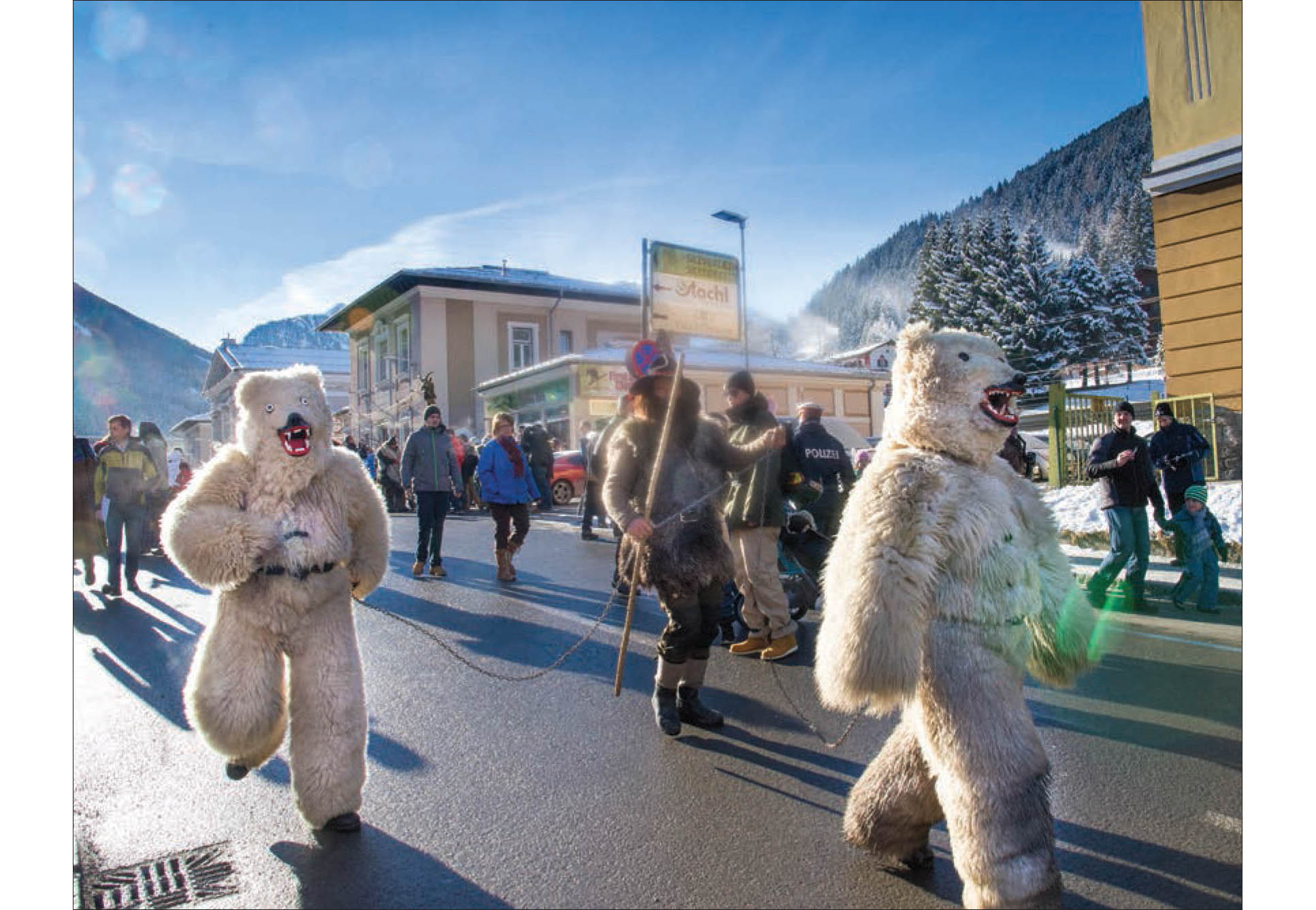 Bears and bear wrangler ...