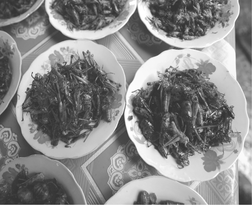 This picture taken on March 15, 2011 shows plates of fried insects ready to eat, including crickets and grasshoppers, for sale at a local market in Vientiane.      AFP PHOTO / HOANG DINH Nam        (Photo credit should read HOANG DINH NAM/AFP/Getty Images)