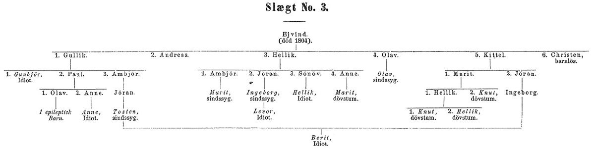 F  6.3. Pedigree chart of mental illness for kin group number 3. These tables attracted international attention and were often reprinted. Dahl’s charts remained of great interest to hereditary researchers on account of the wide range of disabilities he found within kin groups. I have not found pedigree charts of mental illness from other countries until the 1890s. From Dahl,  .