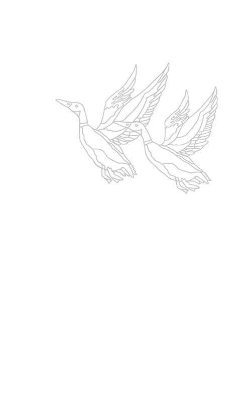 Outline of two sea gulls flying in the air.