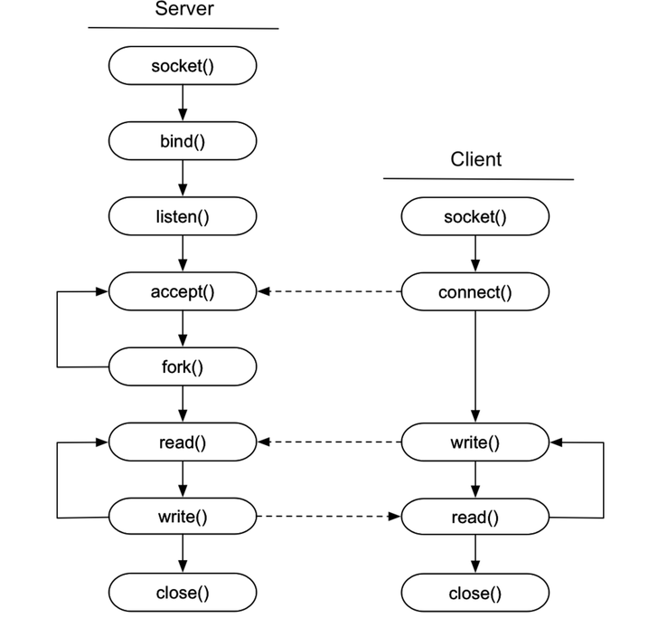 images/tcp-fork-syscalls.png