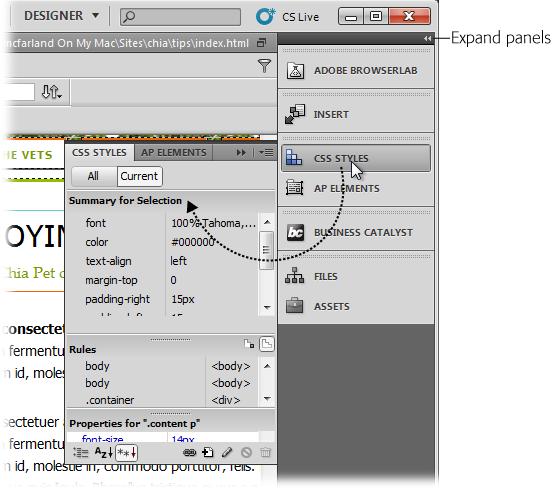 Iconic panes let you preserve screen real estate. To return to normal-width panels, click the Expand Panels button.