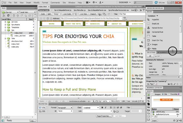 Resizing a panel is as easy as dragging up or down (circled at bottom of Insert panel on right). If you're lucky enough to have a large monitor, it's often helpful to put the Files panel by itself on either the left or right side of the screen.