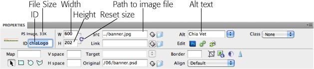 The Property inspector shows the selected graphic's dimensions, source, alignment, border, and margins. To the left of the file size (33K), you see either Image (meaning a regular GIF, PNG, or JPEG file) or PS Image (meaning the image is coming from a Photoshop document).