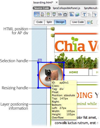 Unlike other page elements, AP elements don't appear in the same place on the page as their HTML code. Here, a div for the Chia Kitten button hovers over a headline several hundred pixels below the top of the page. The HTML for the div, however, is the first bit of HTML on the page (and is represented by the AP element marker in the top-left corner of the page).