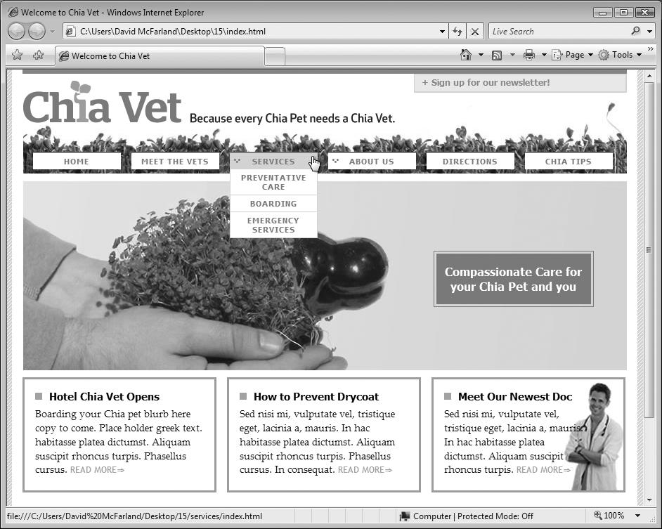 A good site has an easy-to-understand structure. It divides content into logical sections, and includes a prominent navigation bar—the row of buttons below the Chia-Vet logo in this image—to give visitors quick access to that content. When you building a site, the site's "architecture" provides a useful model for naming and creating the behind-the-scenes folders that hold the site's files.