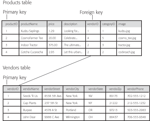 Each table in your database should have a primary key—a column that contains a unique identifier for each record in a table. To relate information from one table to another, people often add an additional column with information pertaining to another table. In this case, a column called vendorID in the Products table contains a primary key from the Vendors table. To determine which vendor distributes, say, the Gotcha Cucarache, look at the fifth column in the Products table, which identifies the vendor's ID number as 2. When you check the Vendors table, you see that vendor 2 is Gap Plants. A column that contains the primary key of another table is called a" foreign key."