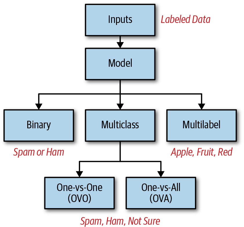 Classification