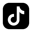 TikTok icon