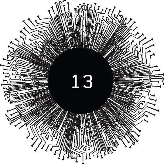 Chapter 13