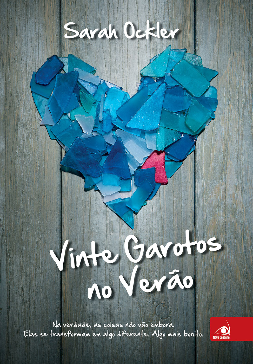 Capa do livro Vinte Garotos no Verão