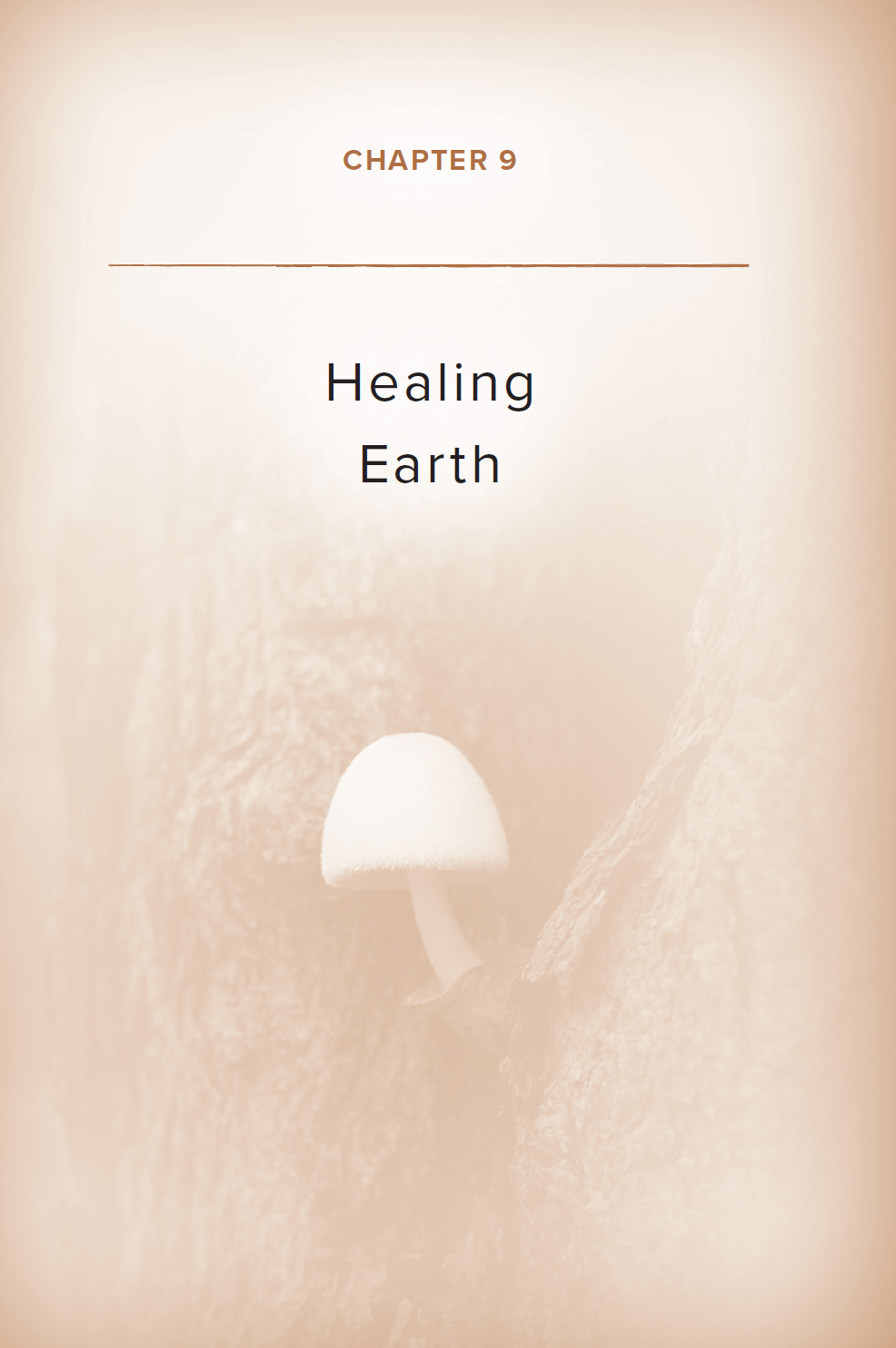 Chapter 9: Healing Earth