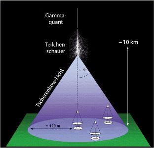 ch16-fig.4.jpg