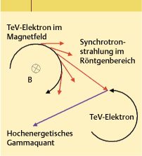 ch16-fig.8.jpg