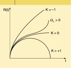 ch21-fig.#.jpg